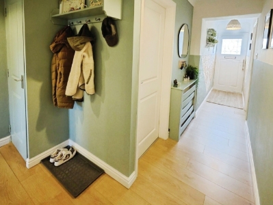 Picture 11